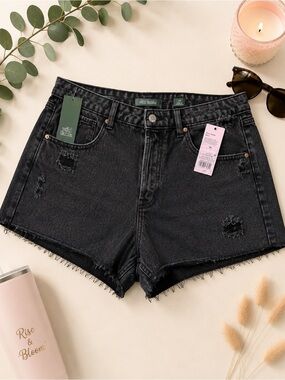 Wild Fable Black Distressed Super High Rise Cutoff Shorts NWT Size 14